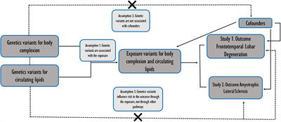 Body Complexion and Circulating Lipids in the Risk of TDP-43 Related Disorders